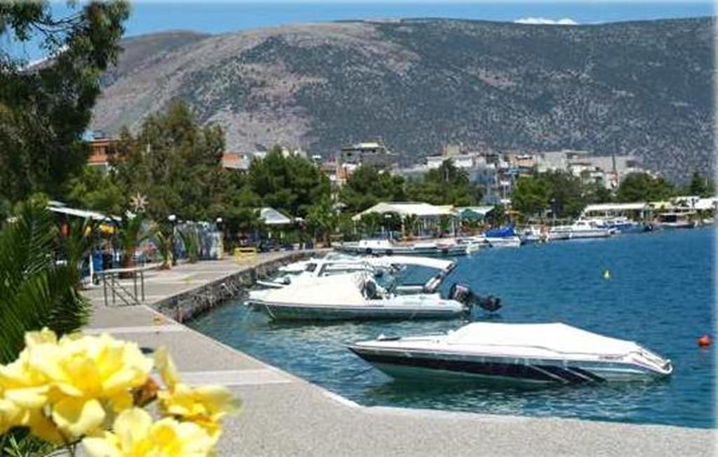 Iridanos Hotel Antikyra Exterior photo